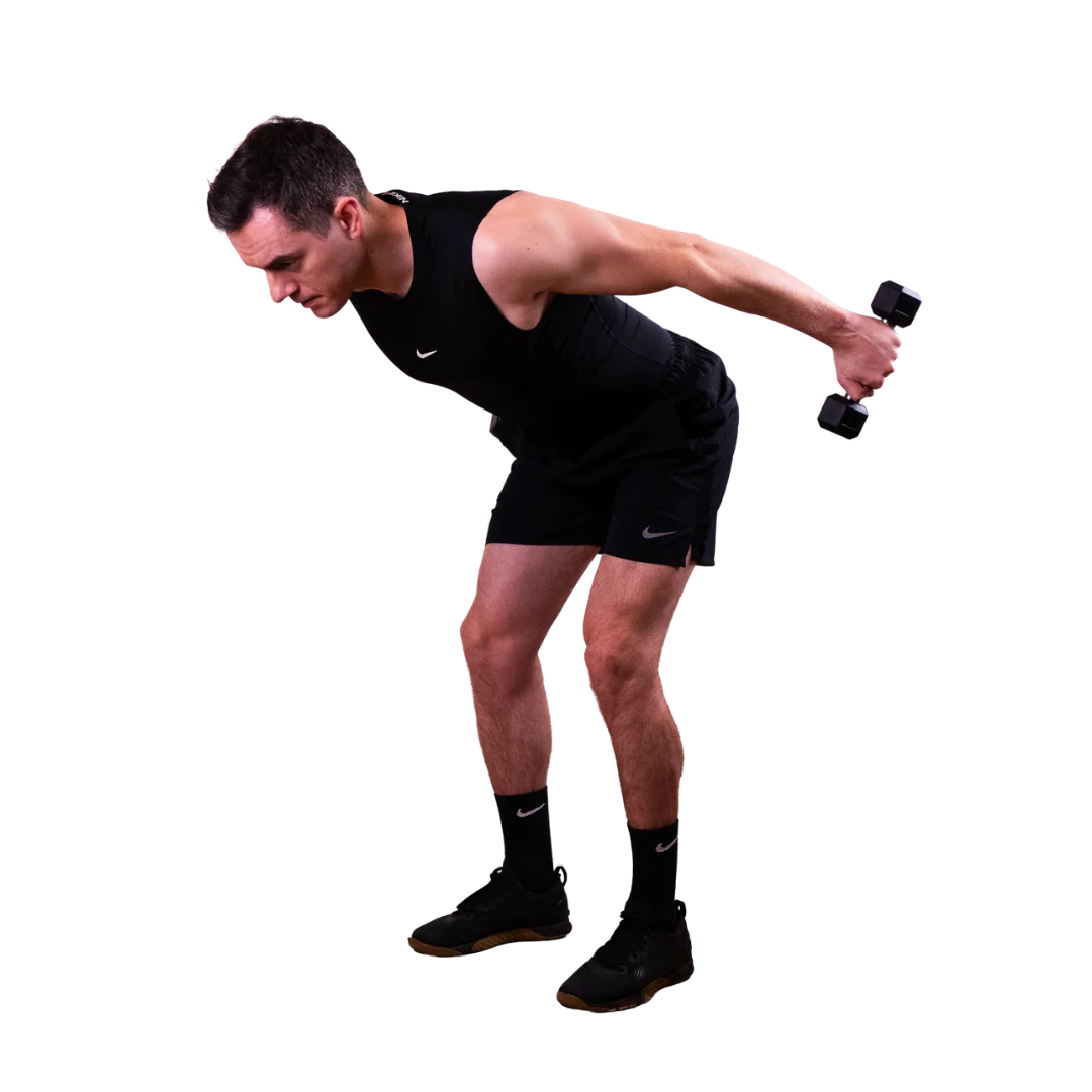 Renforcement Musculaire